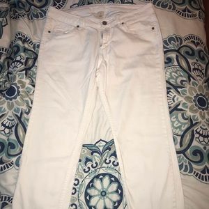 Ankle length pants
